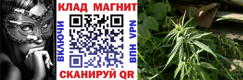  Кокаин Дятьково